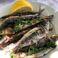 sardines, don’t miss if you’ve found them