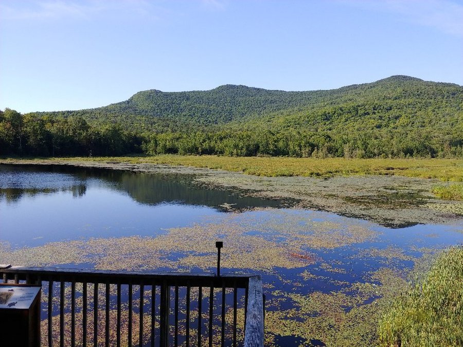 Camping Du Parc National Du Mont Orford Campground Reviews Quebec Canada Tripadvisor