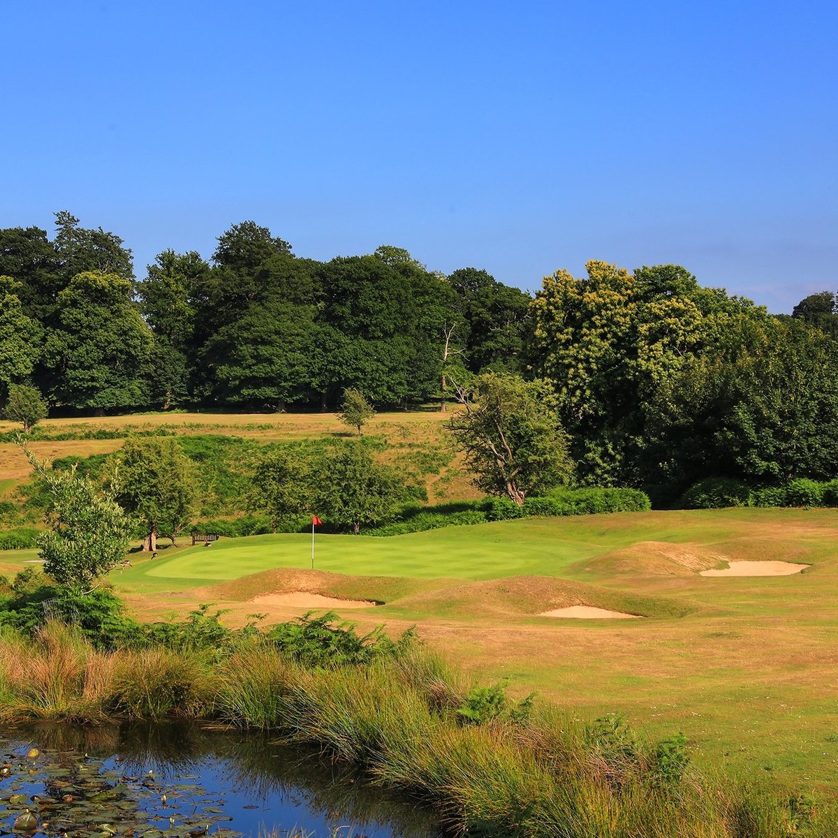 Knole Park Golf Club (Sevenoaks, Inggris) Review Tripadvisor