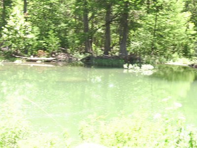 weekend hunting trips texas