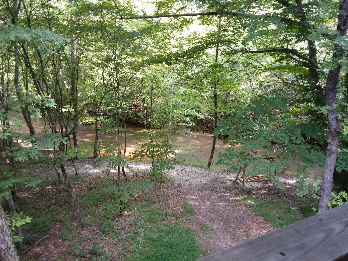 FROG HOLLER CABINS: 2022 Reviews (Elkin, NC) - Photos of Campground