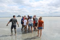 Guia mostra como funciona a areia movediça, que está por todo caminho –  Foto de Découverte de la Baie du Mont Saint Michel, Genets - Tripadvisor