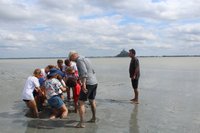 Guia mostra como funciona a areia movediça, que está por todo caminho –  Foto de Découverte de la Baie du Mont Saint Michel, Genets - Tripadvisor