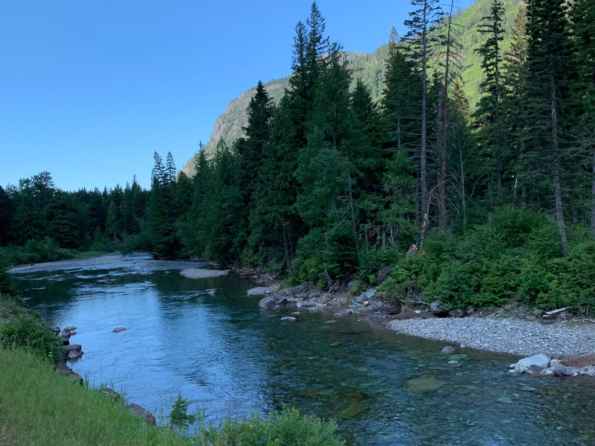 Glacier National Park Sun Tours - All You Need to Know BEFORE You Go (2024)