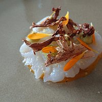 scallop ceviche