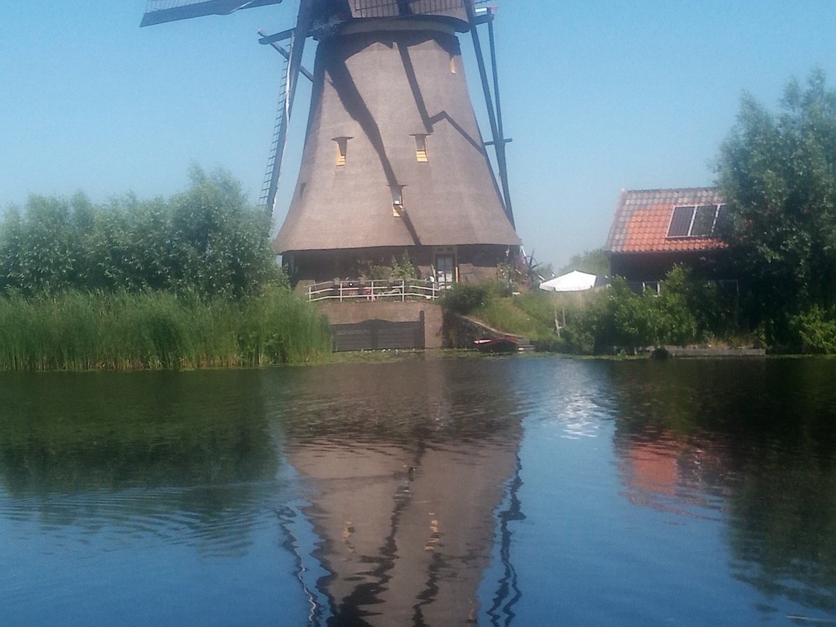 Boottocht Rotterdam Kinderdijk All You Need To Know Before You Go