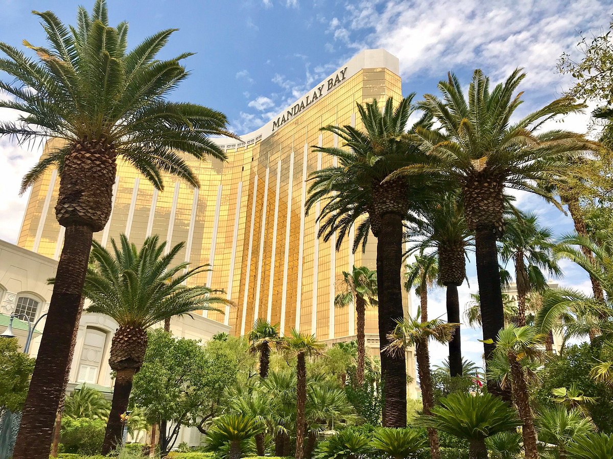 Four Seasons Hotel Las Vegas Tarifs 2022 Mis à Jour 43 Avis Et 2 186 Photos Tripadvisor