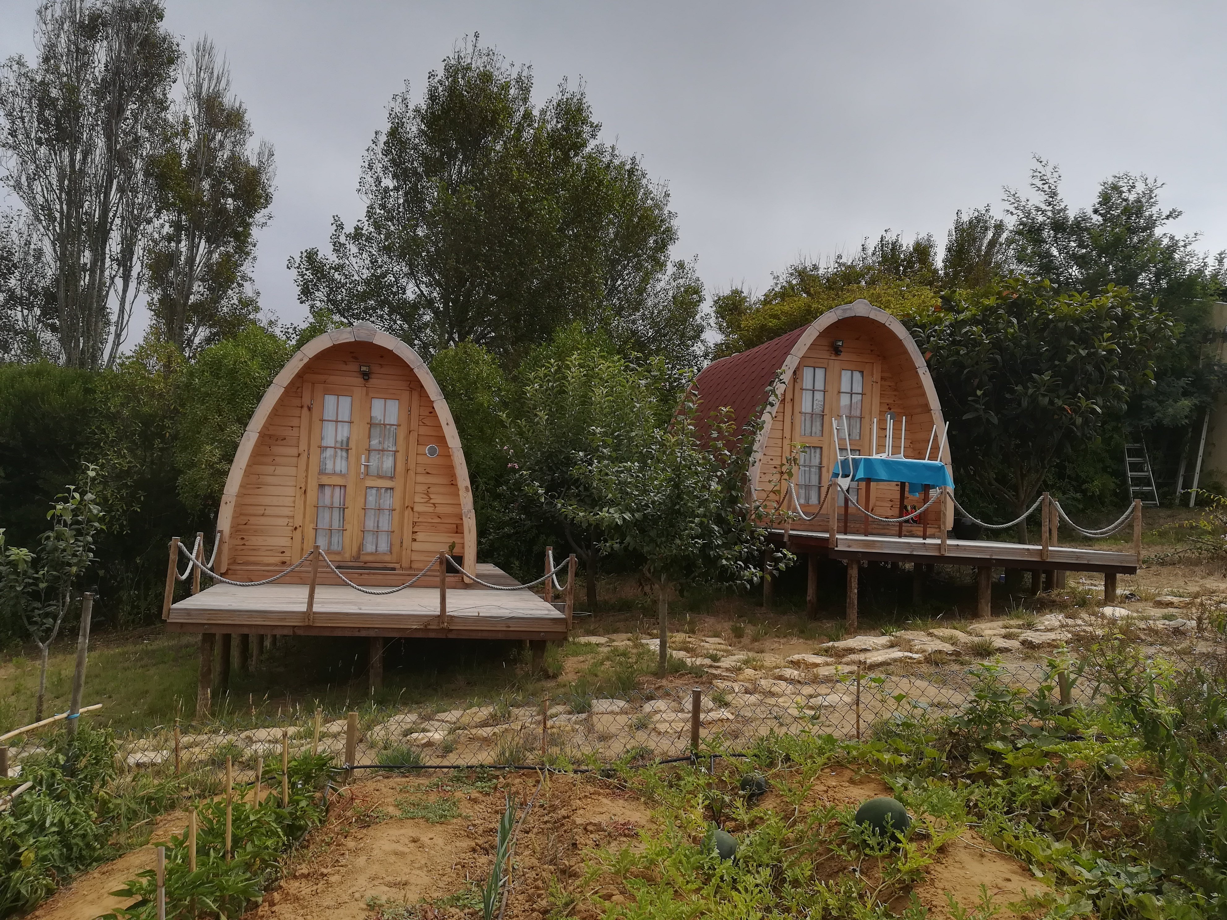 SURF CAMP 360 Hostel Reviews Photos Bombardeira Portugal