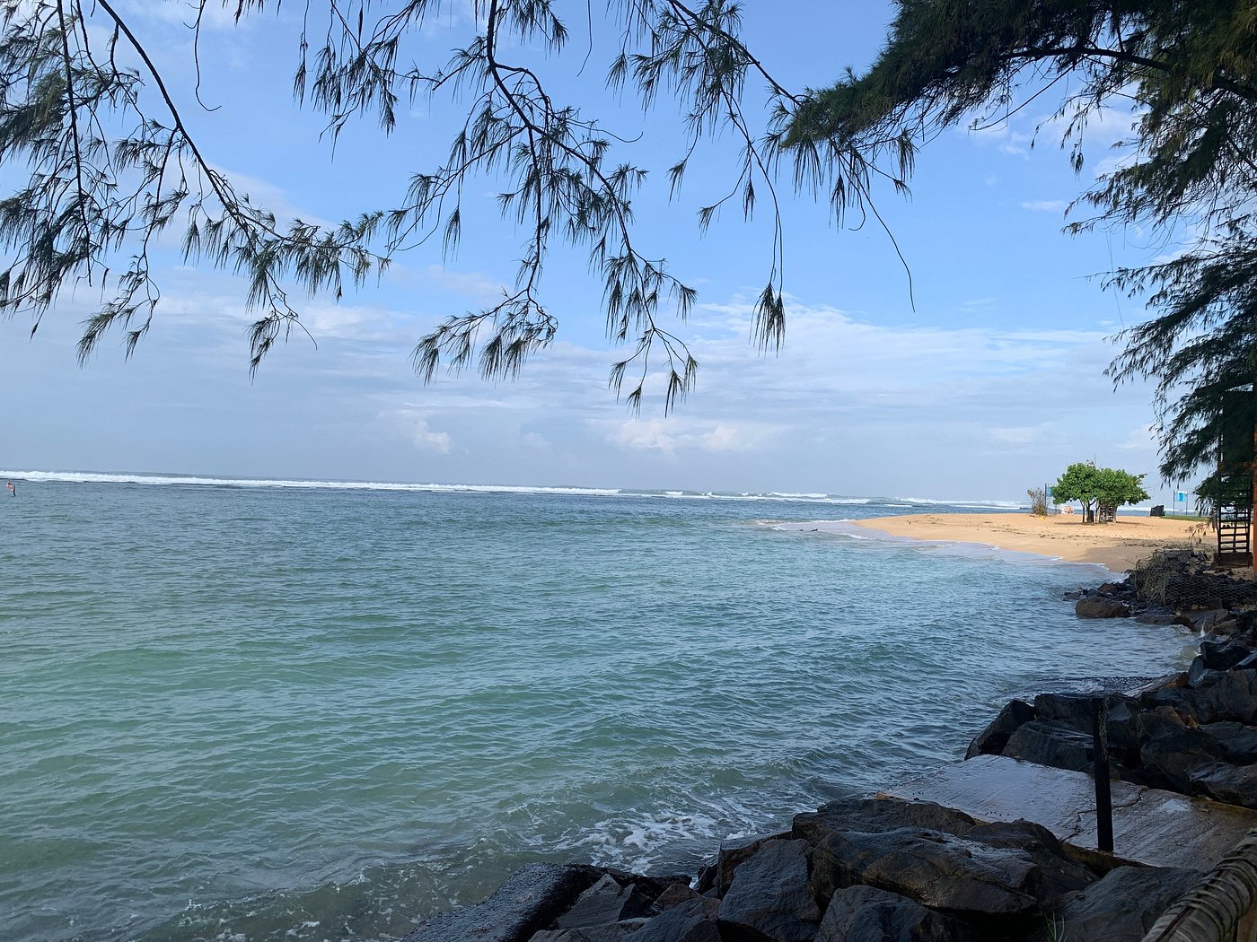 Polhena reef garden 3