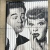 Lucy