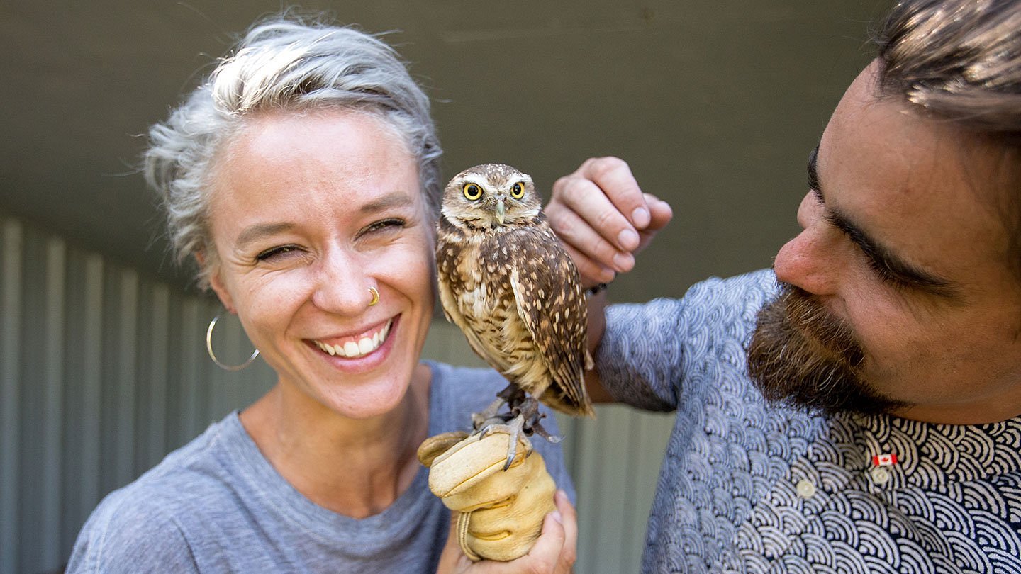 2022年 Alberta Birds of Prey Visitor's Centre - 行く前に！見どころをチェック - トリップアドバイザー