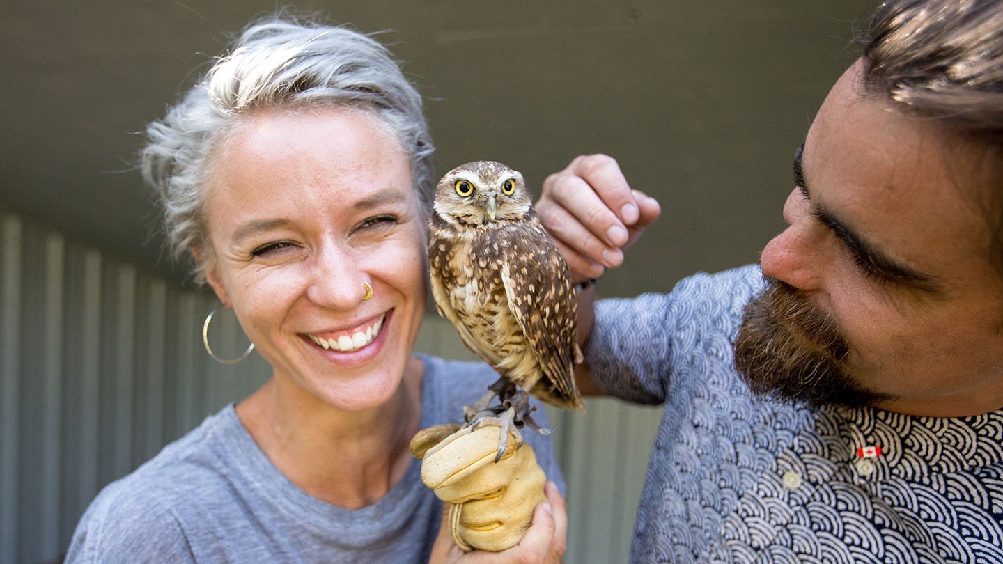 2022年 Alberta Birds of Prey Visitor's Centre - 行く前に！見どころをチェック - トリップアドバイザー