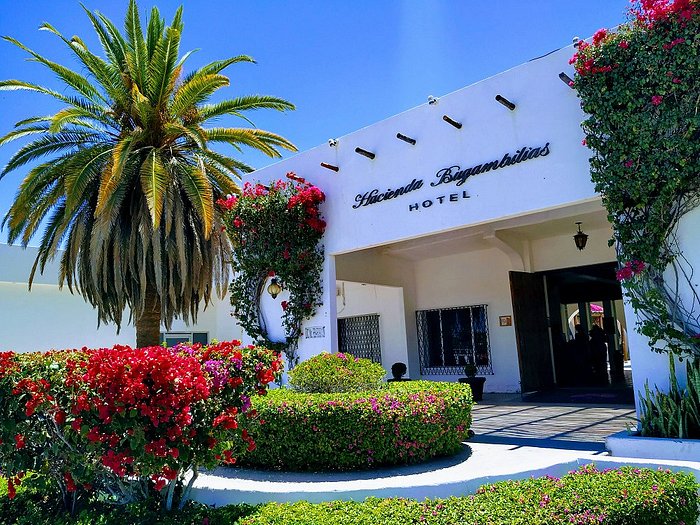 HOTEL HACIENDA BUGAMBILIAS desde $1,193 (La Paz, Baja California) -  opiniones y comentarios - hotel - Tripadvisor