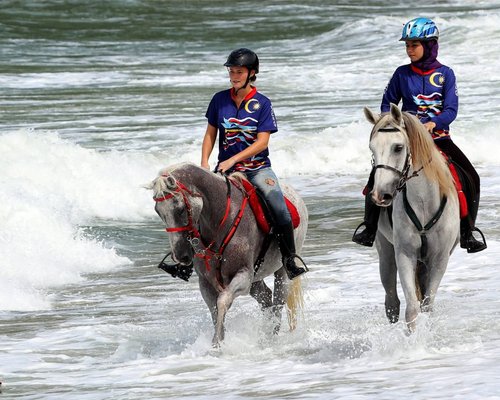 horse riding in malaysia