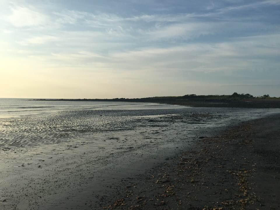 Discovering Sea Point Beach, Maine: A Hidden Gem for Travelers