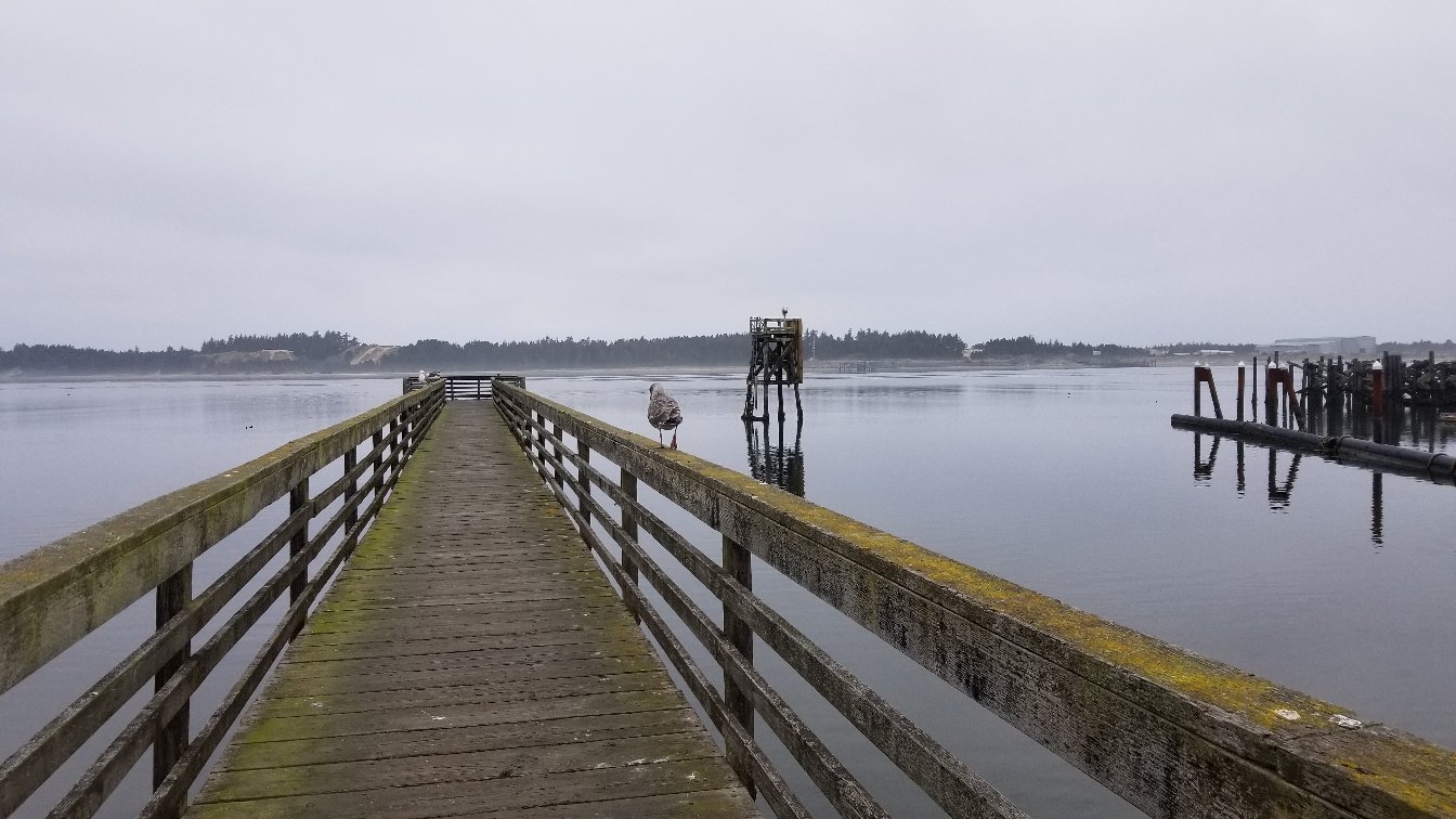 Coos Bay, OR 2024: Best Places To Visit - Tripadvisor