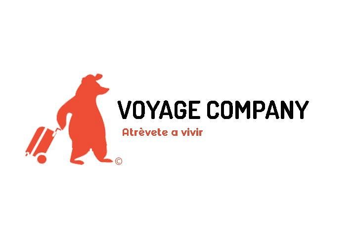 voyage company