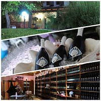 Degustazioni vini di nostra produzione
www.stanig.it