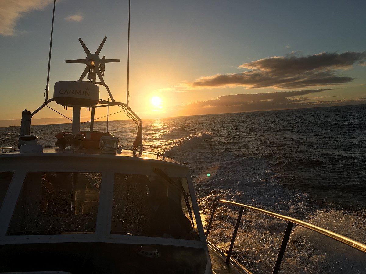 sunset boat trips st ives