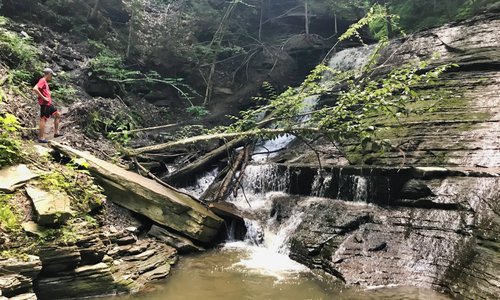 Tannery Creek Falls 3. Also with this one if you climb over there is another set of falls.