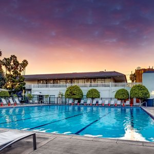 Hotel guest pool 