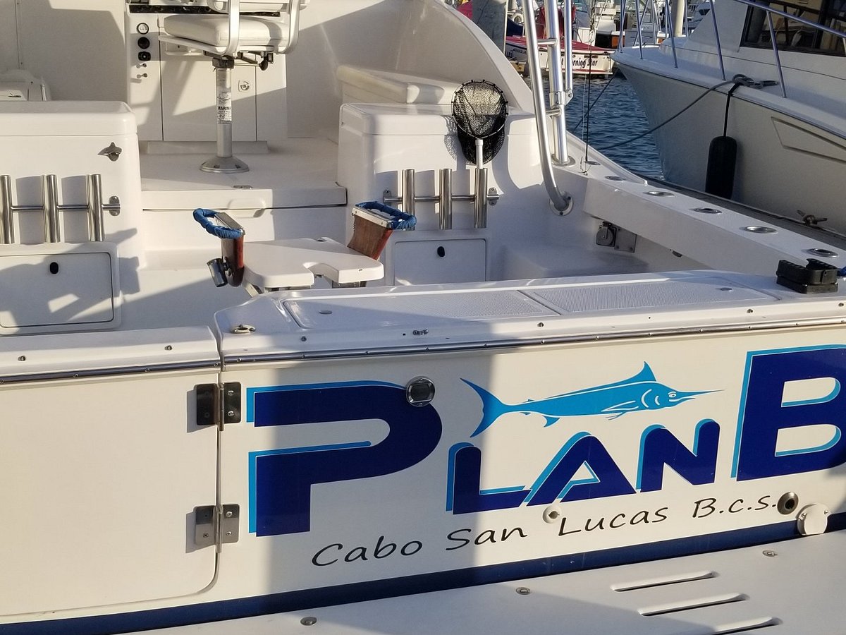 Cabo Yacht Club - All You Need to Know BEFORE You Go (2024)