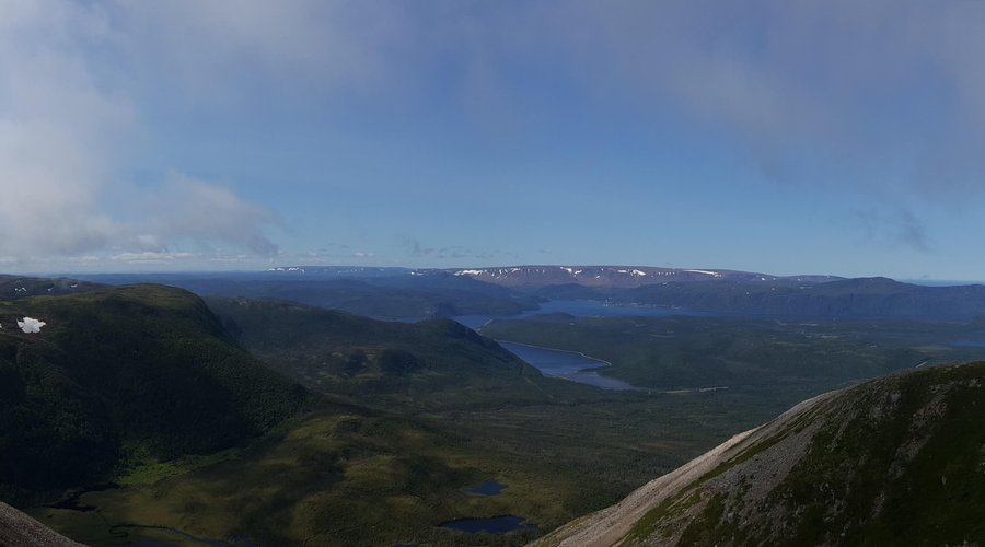 Near the top! 
