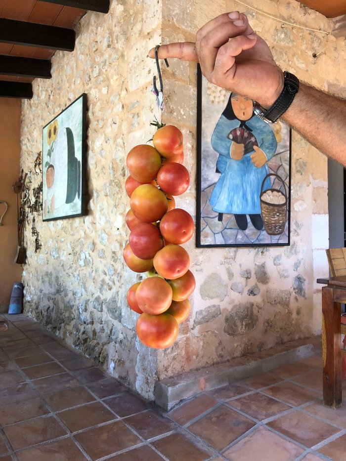 Imagen 17 de Finca Caballo Blanco Son Bages