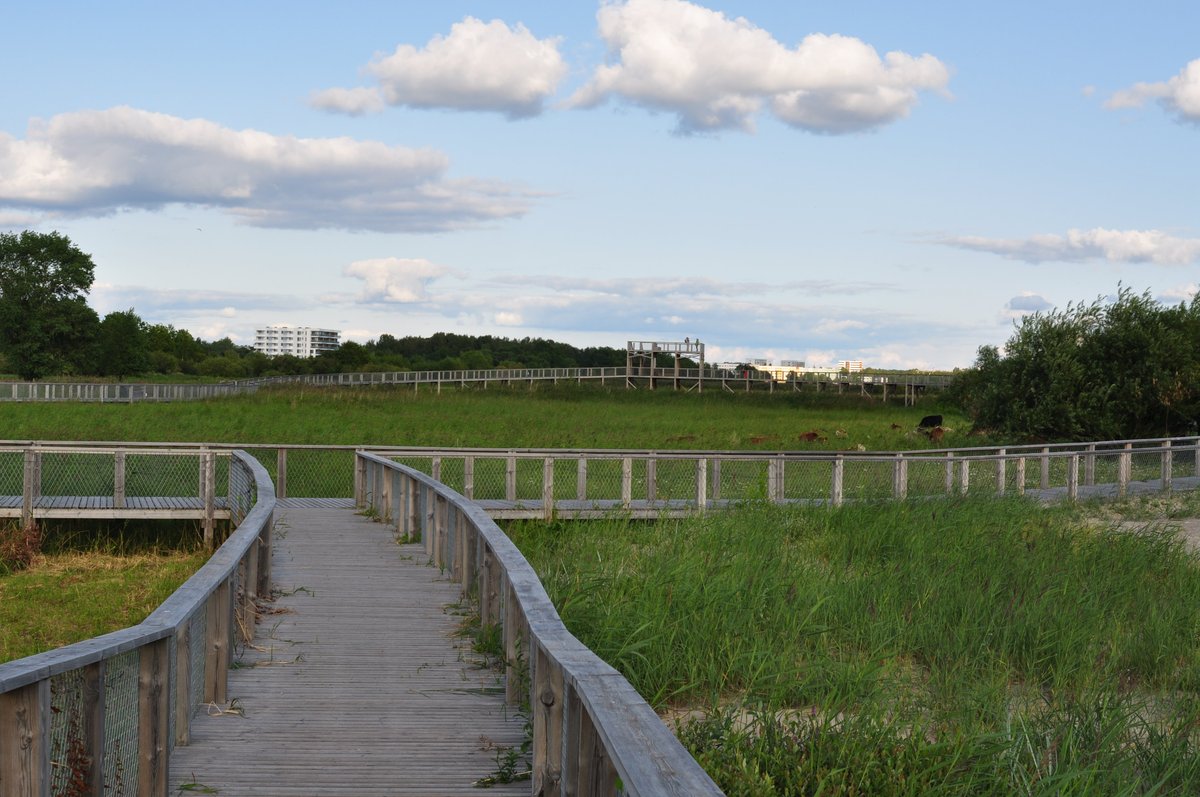 Parnu Rannaniidu Matkarada, Пярну: лучшие советы перед посещением -  Tripadvisor