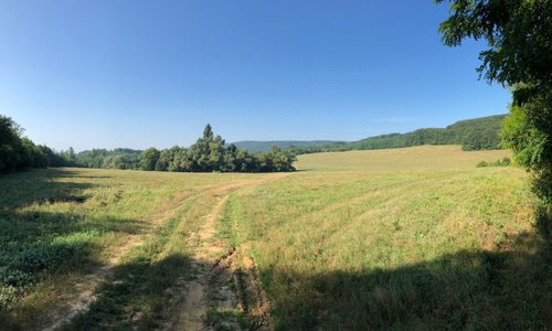 Balatonhenye