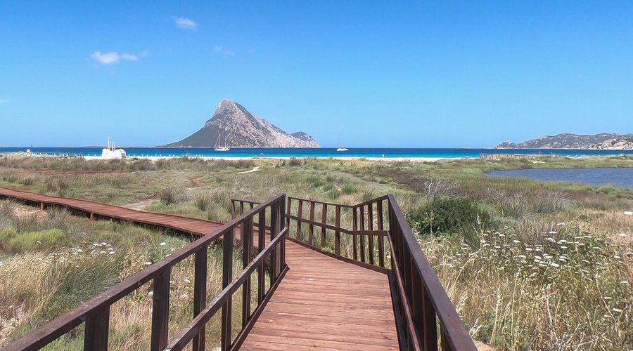 Passerella Panoramica