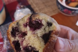 Ristorazione