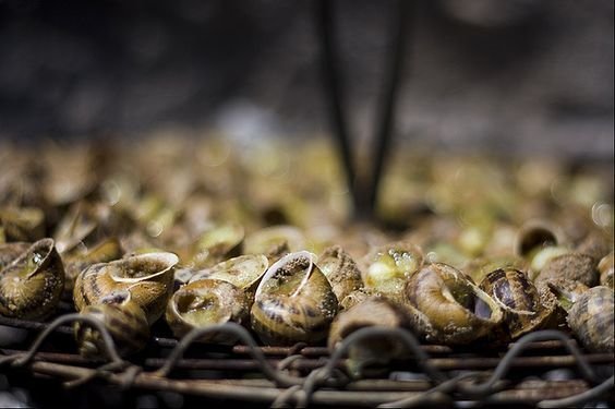 les escargots grillés à l'aïoli 