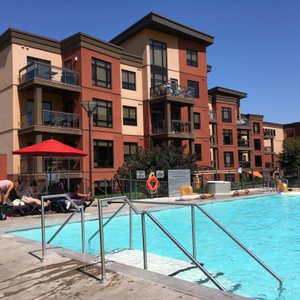 The Playa Del Sol Pool