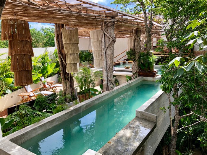 Imagen 15 de Orchid House Tulum