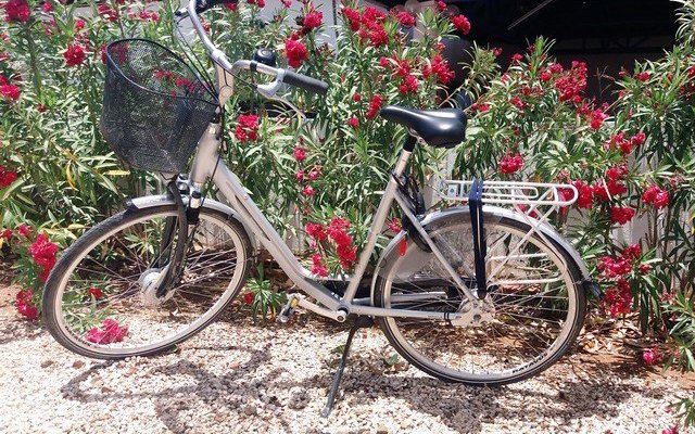Prefer a bicycle?