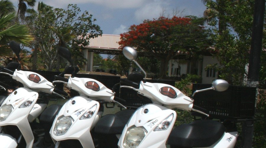 Cruise Bonaire by yourself on a single scooter.
