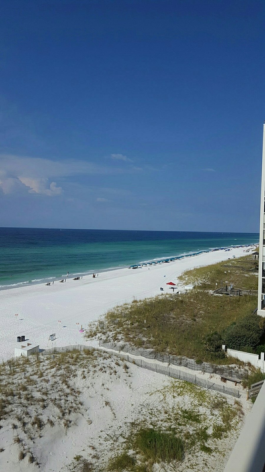 Pelican Beach Resort By Wyndham Vacation Rentals Updated 2020 Prices Lodging Reviews Destin Fl Tripadvisor - this hotel was couples only owner wants us to break up roblox