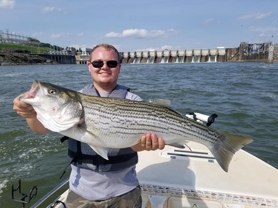 FISH ON! GUIDED TOURS (Knoxville) Qué SABER antes de ir (2025)