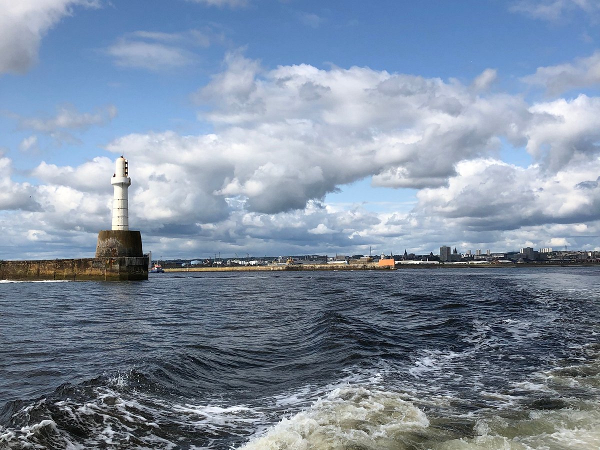 aberdeen harbour boat tours
