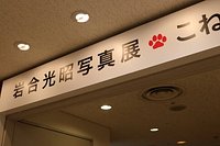 21年 美術館 えき Kyoto 行く前に 見どころをチェック トリップアドバイザー 21年 美術館 えき Kyoto 行く前に 見どころをチェック トリップアドバイザー