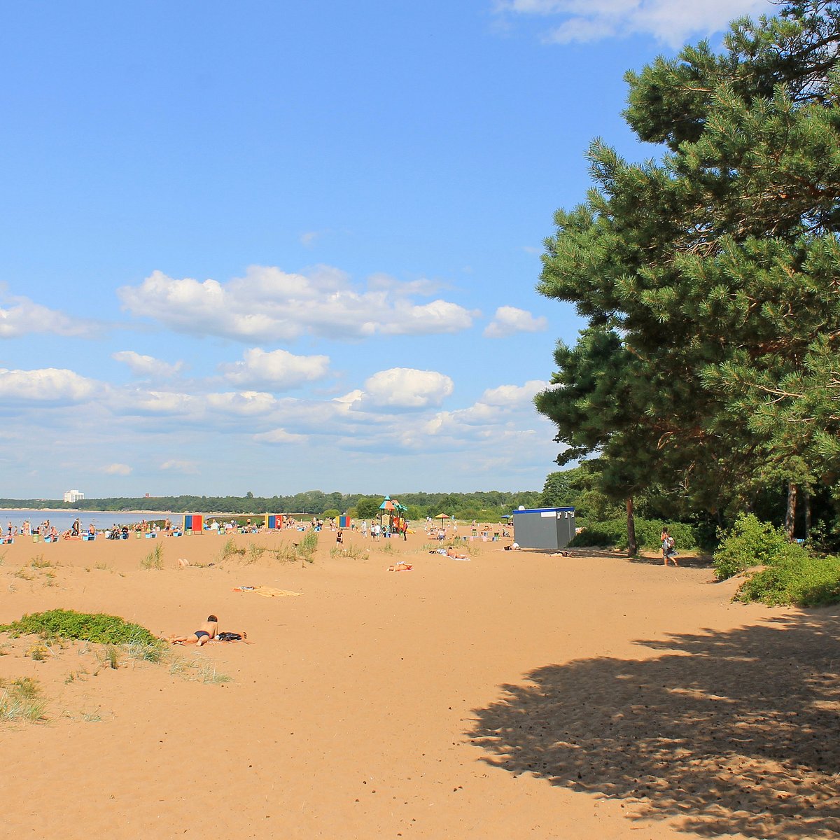 пляж дюны в сестрорецке