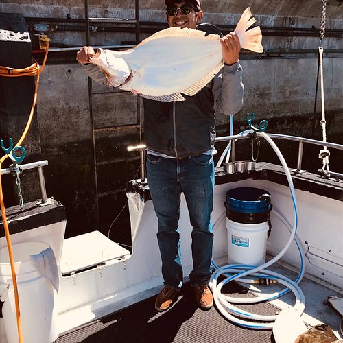Hook'd Up Sportfishing Halibut Fishing San Francisco Bay Live Bait