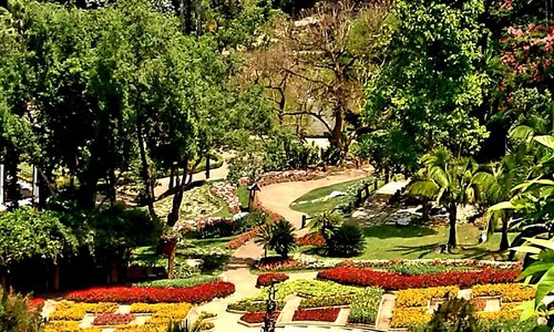 Royal Garden Doi Tung