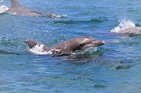 21年 イルカマリンワールド 行く前に 見どころをチェック トリップアドバイザー 21年 イルカマリンワールド 行く前に 見どころをチェック トリップアドバイザー