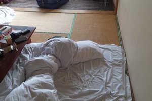 旅行者の写真