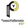 PaseoVallenatoTour