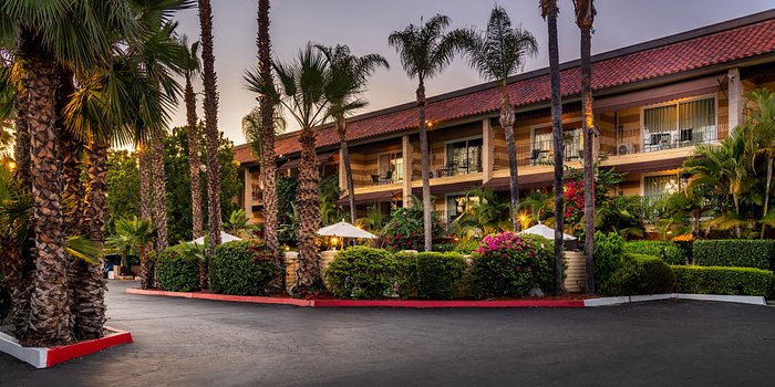Hotel Pepper Tree Boutique Kitchen Studios - Anaheim - UPDATED 2024 Prices,  Reviews & Photos (CA) - Tripadvisor