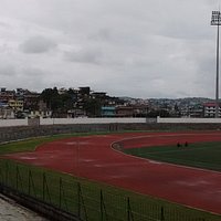 The stands