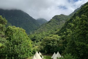 Viajante